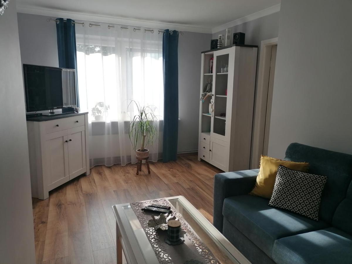 Apartament Kot I Pies 미엥지즈드로예 외부 사진