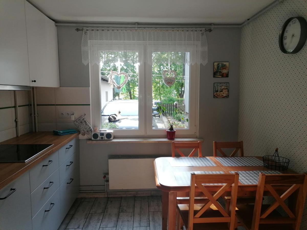 Apartament Kot I Pies 미엥지즈드로예 외부 사진