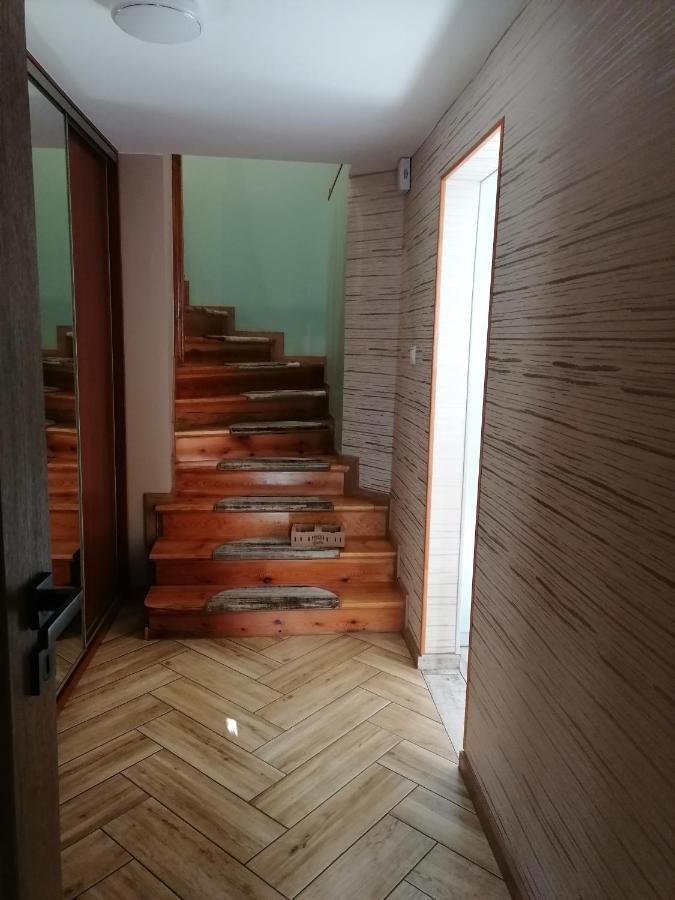 Apartament Kot I Pies 미엥지즈드로예 외부 사진