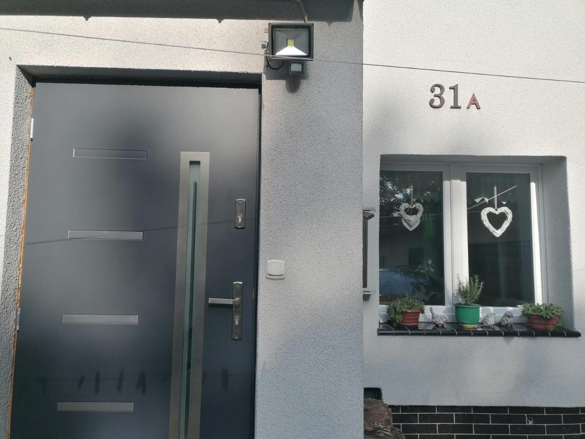 Apartament Kot I Pies 미엥지즈드로예 외부 사진
